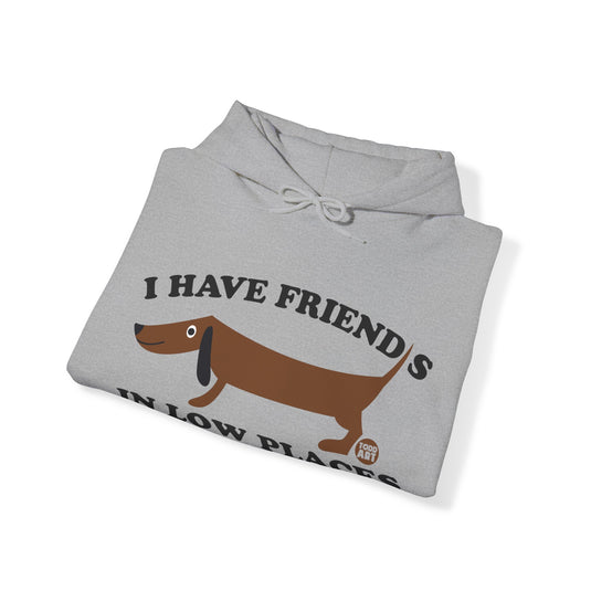 I Have Friends in Low Places Dog Unisex Heavy Blend Hooded Sweatshirt