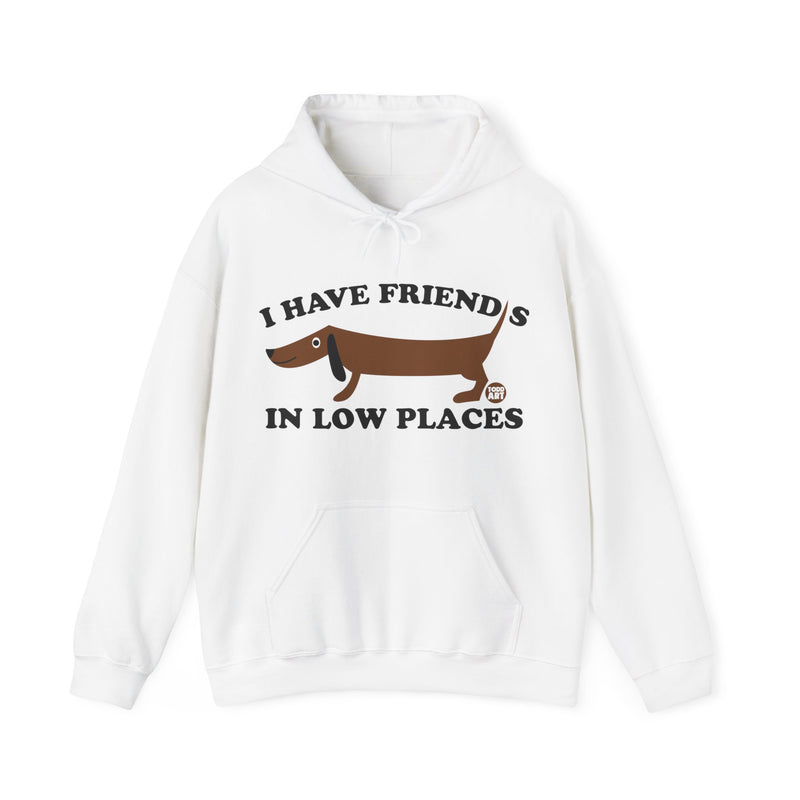 Load image into Gallery viewer, I Have Friends in Low Places Dog Unisex Heavy Blend Hooded Sweatshirt

