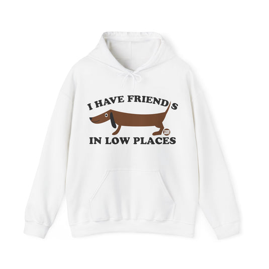 I Have Friends in Low Places Dog Unisex Heavy Blend Hooded Sweatshirt