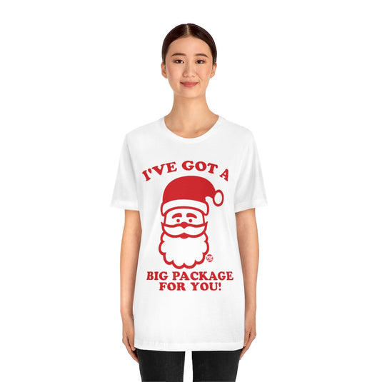 Santa Big Package Unisex Tee