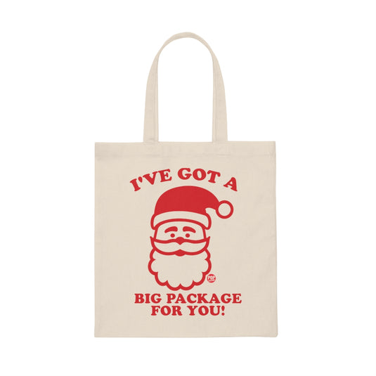 Santa Big Package Tote