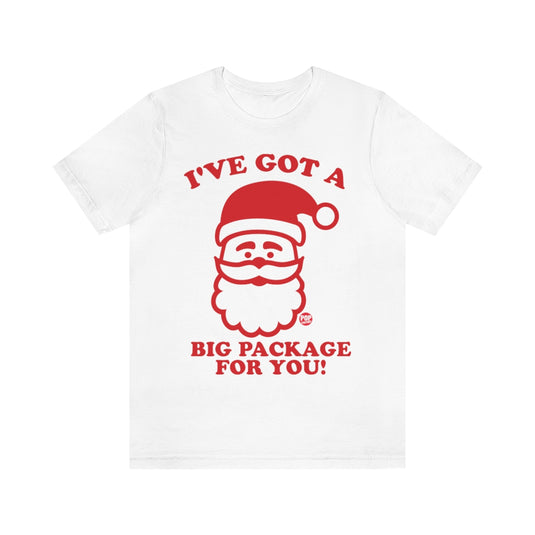 Santa Big Package Unisex Tee