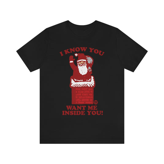 Santa Inside You Chimney Unisex Tee