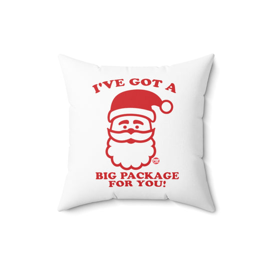 Santa Big Package Pillow