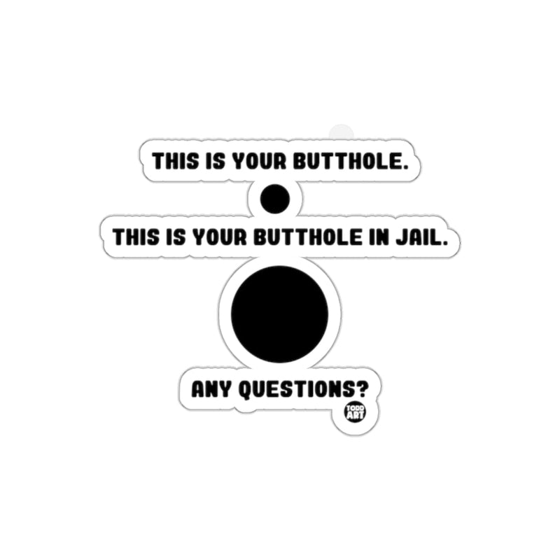 Load image into Gallery viewer, This Is Your Butthole In Jail Any Questions Sticker
