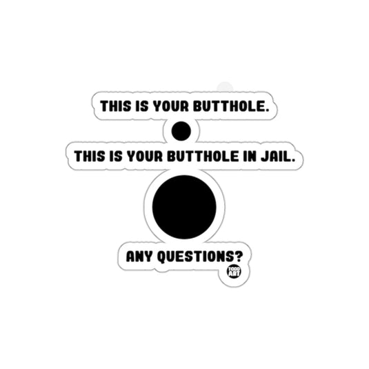 This Is Your Butthole In Jail Any Questions Sticker
