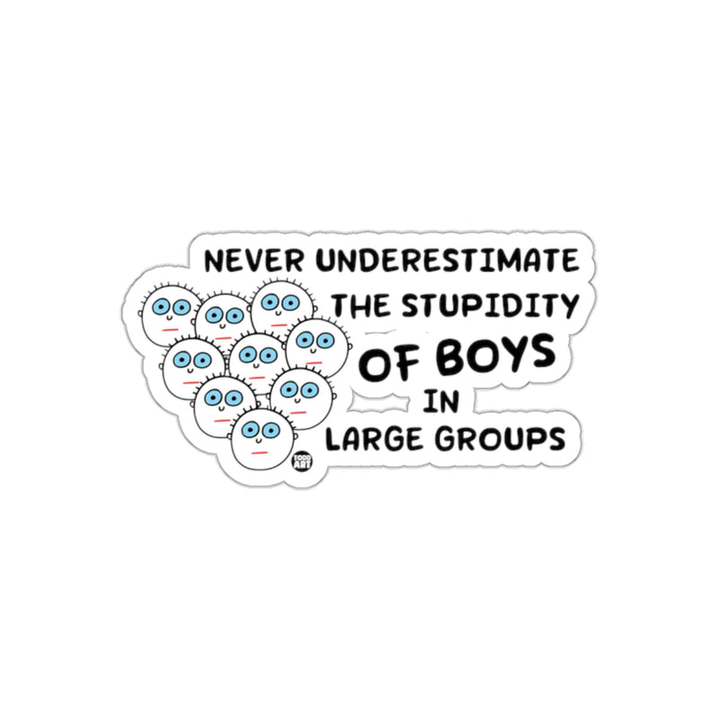 Load image into Gallery viewer, Never Underestimate the Stupidity of Boys Sticker
