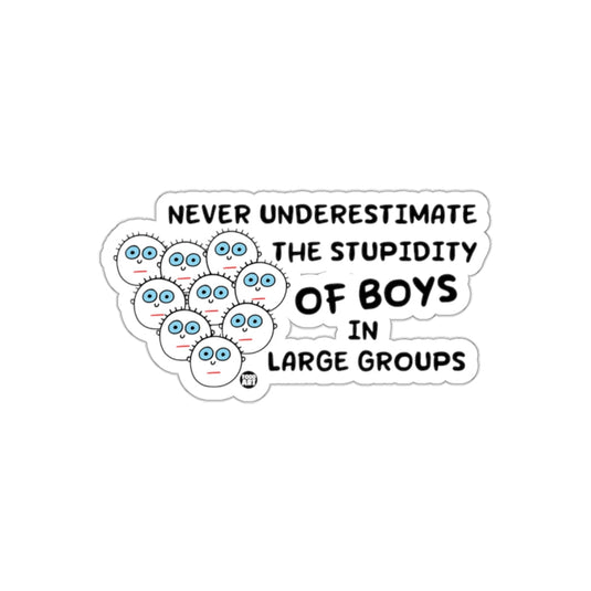 Never Underestimate the Stupidity of Boys Sticker