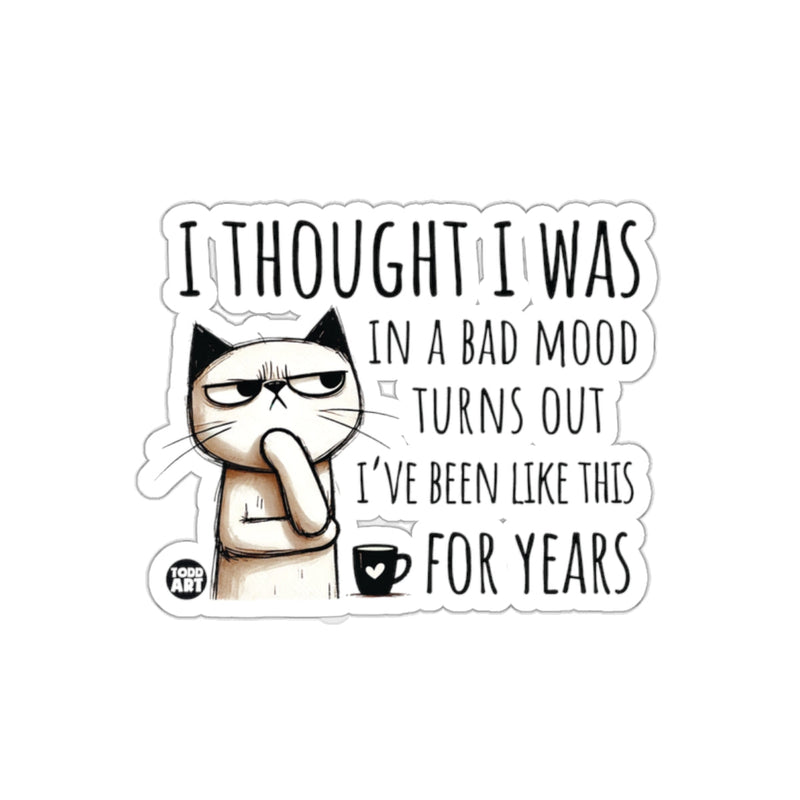 Load image into Gallery viewer, I Thought I Was In a Bad Mood Turns Out Sticker
