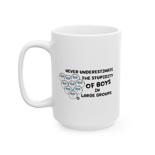 Never Underestimate the Stupidity of Boys Mug
