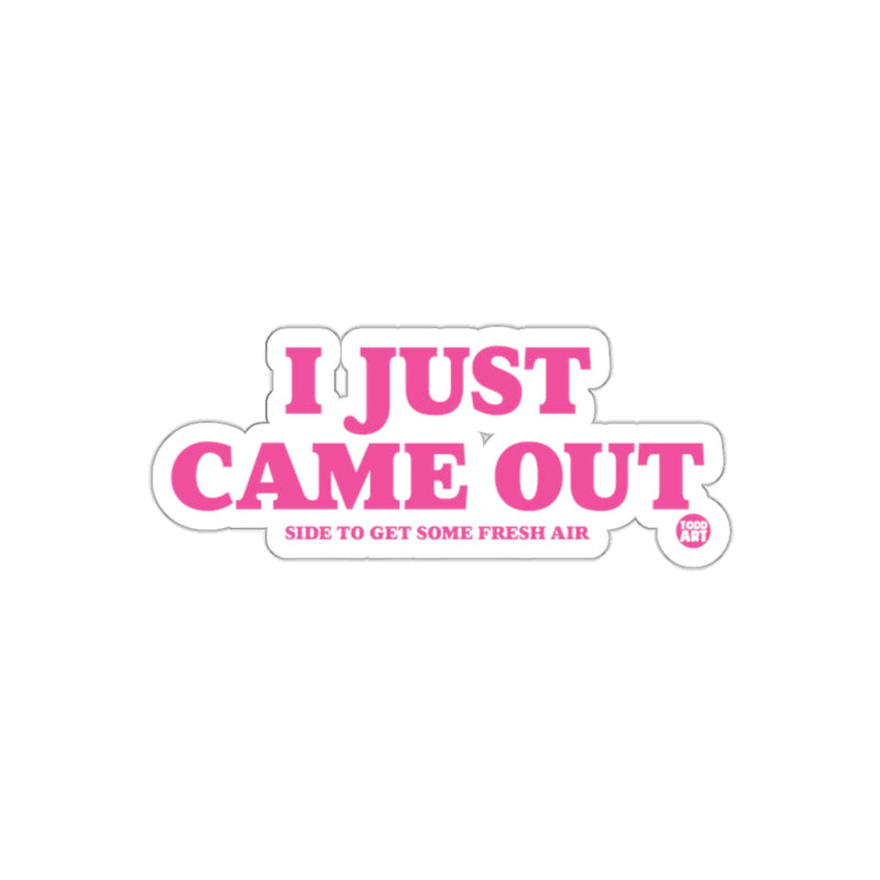 Load image into Gallery viewer, I Just Came Out Side To Get Some Fresh Air Sticker
