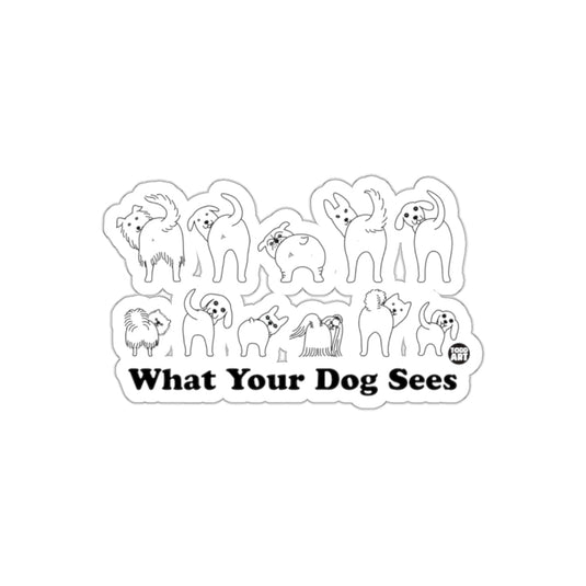 What Your Dog Sees Funny Dog Sticker