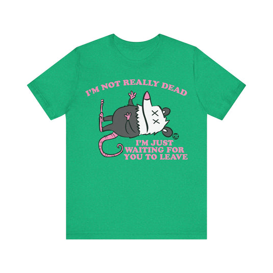 Dead Possum Unisex Tee
