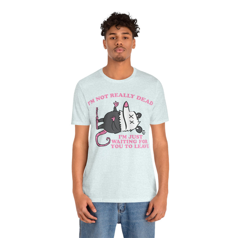 Load image into Gallery viewer, Dead Possum Unisex Tee
