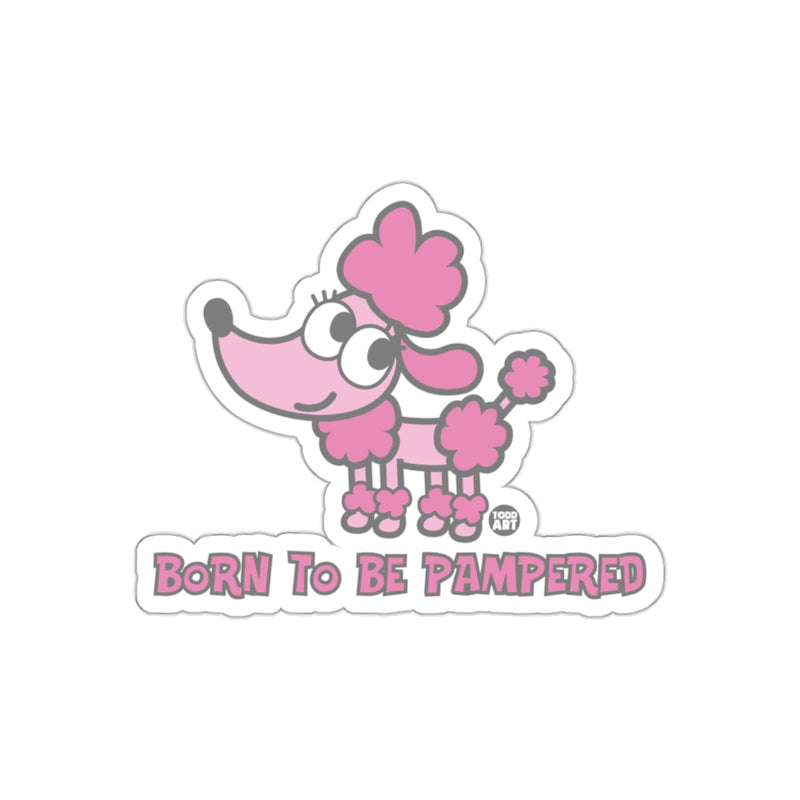 Load image into Gallery viewer, Born To Be Pampered Poodle Cartoon Illustration Sticker
