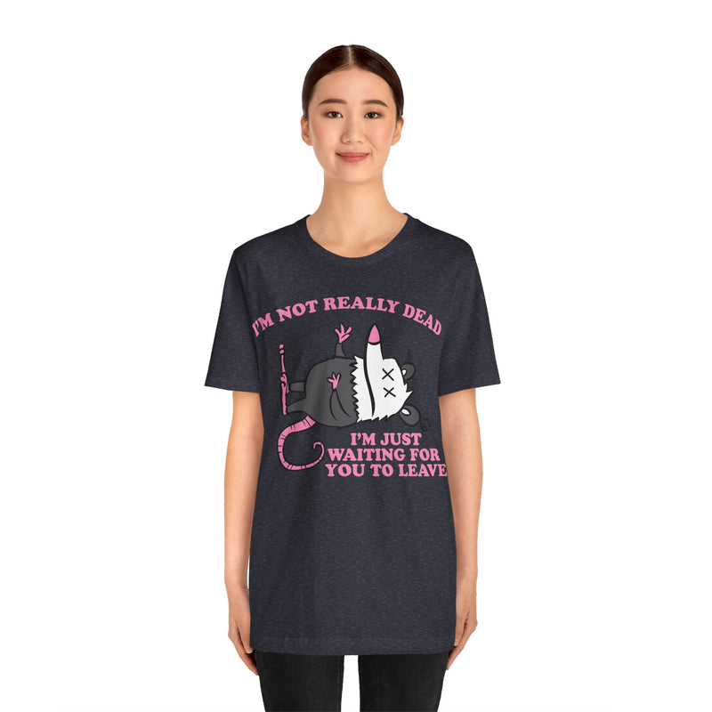 Load image into Gallery viewer, Dead Possum Unisex Tee
