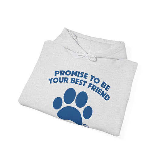 I Promise to Be Your Best Friend Pinky Paw Swear Dog Unisex Heavy Blend Hooded Sweatshirt