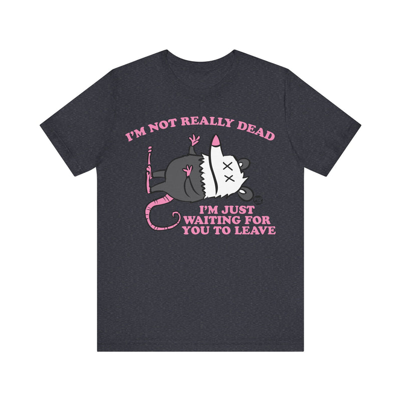 Load image into Gallery viewer, Dead Possum Unisex Tee
