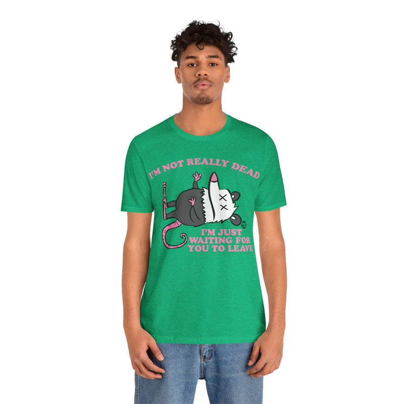 Load image into Gallery viewer, Dead Possum Unisex Tee
