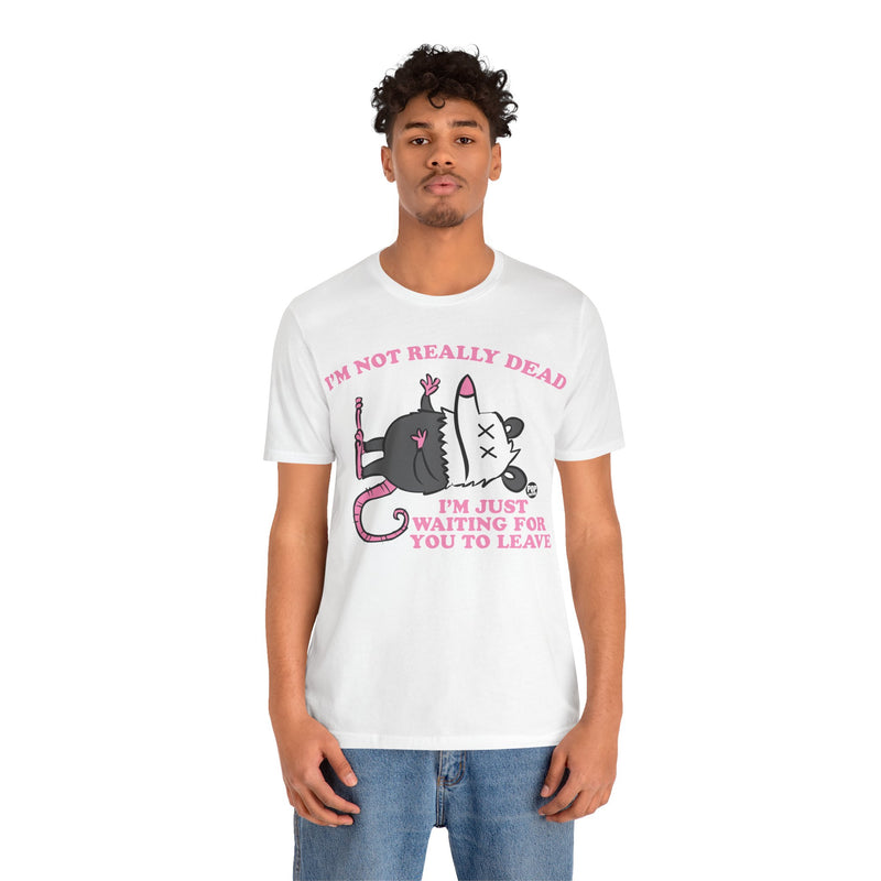 Load image into Gallery viewer, Dead Possum Unisex Tee
