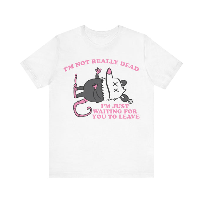 Dead Possum Unisex Tee