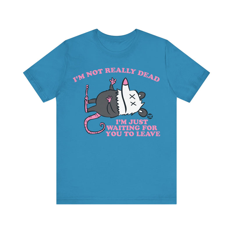 Load image into Gallery viewer, Dead Possum Unisex Tee
