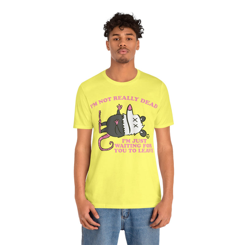 Load image into Gallery viewer, Dead Possum Unisex Tee
