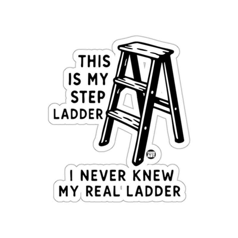 Load image into Gallery viewer, This is My Step Ladder I Never Knew My Real Ladder Sticker
