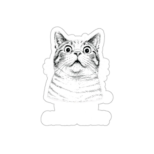 Wide-Eyed Adorable Cat with Surprised Expression Sticker