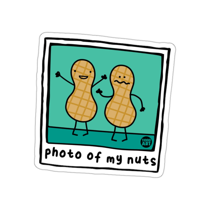 Load image into Gallery viewer, Photo Of My Nuts Pun Illustration From Todd Art sticker

