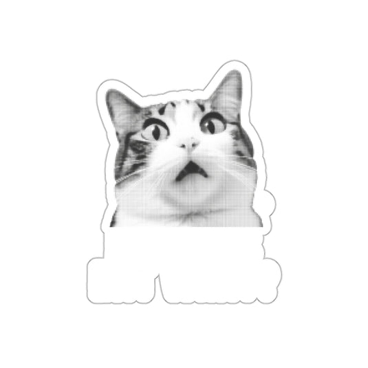 Surprised Cat Funny Meme Sticker for Laptops and Cars