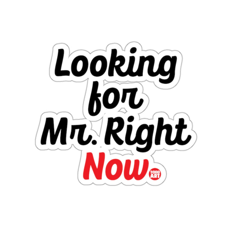 Load image into Gallery viewer, Looking for Mr. Right Now Sticker for Fun Decor
