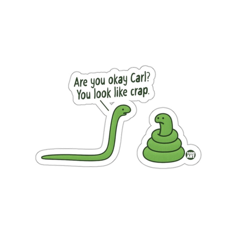 Load image into Gallery viewer, Are You Okay Carl You Look Like Crap Funny sticker
