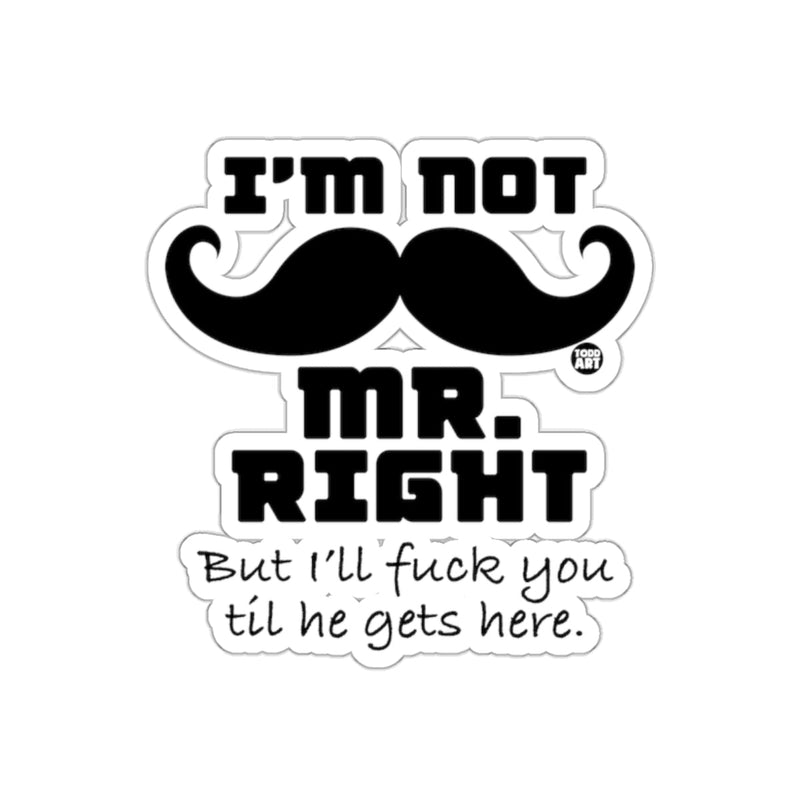 Load image into Gallery viewer, I Am Not Mr Right Funny Statement Joke sticker
