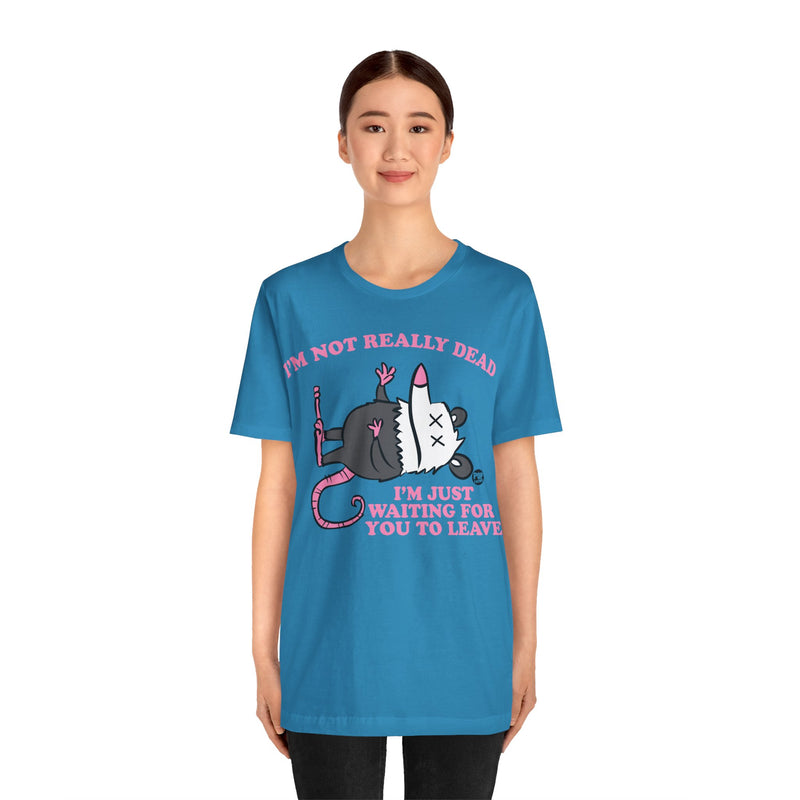 Load image into Gallery viewer, Dead Possum Unisex Tee
