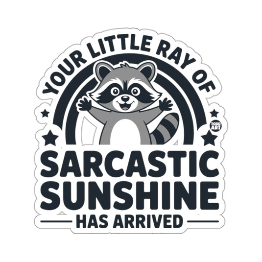 Raccoon Your Little Ray OF Sarcastic Sunshine 