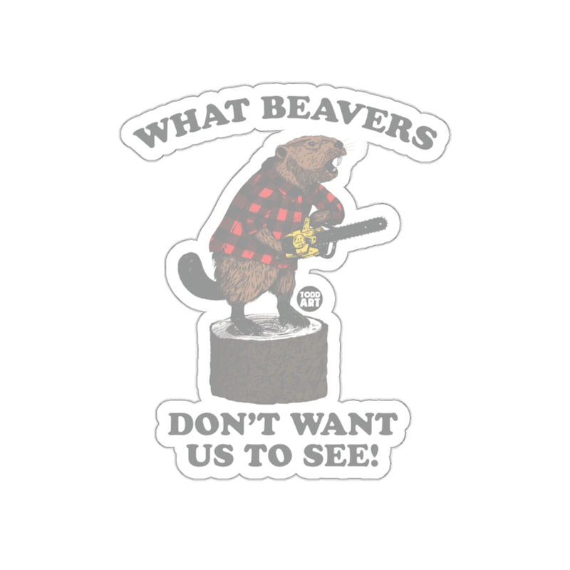 Load image into Gallery viewer, What Beavers Don't Want Us to See Sticker
