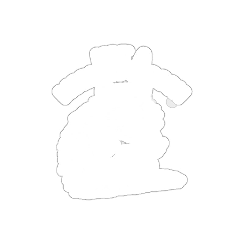 Load image into Gallery viewer, Not a Morning Person Possum Design Funny Animal sticker
