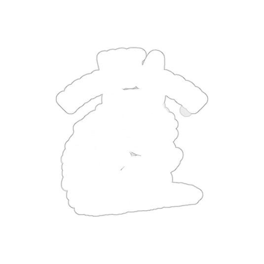 Not a Morning Person Possum Design Funny Animal sticker