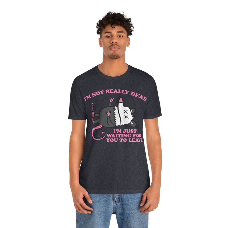 Load image into Gallery viewer, Dead Possum Unisex Tee
