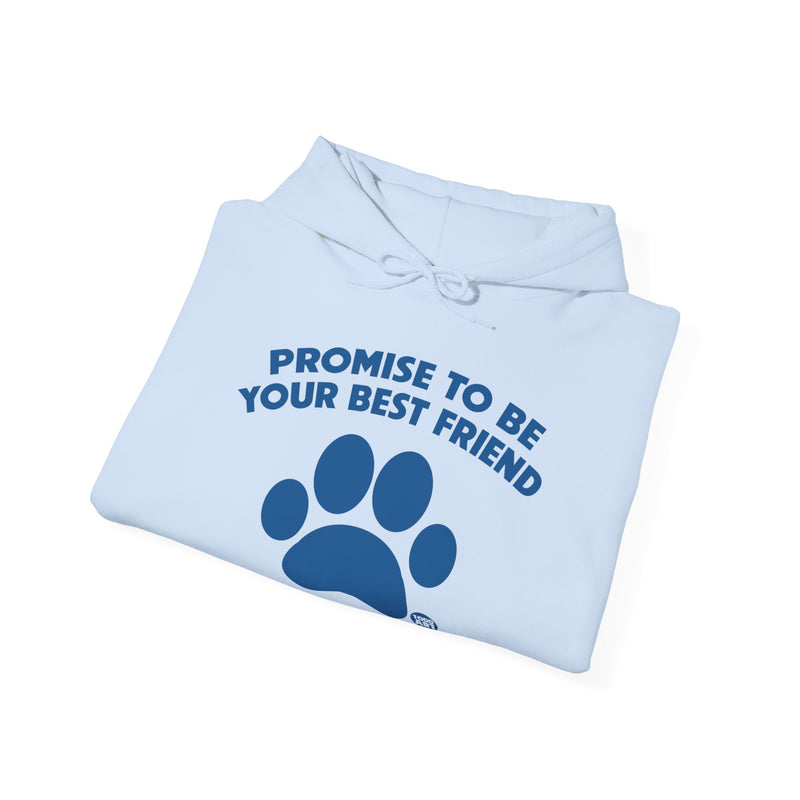 Load image into Gallery viewer, I Promise to Be Your Best Friend Pinky Paw Swear Dog Unisex Heavy Blend Hooded Sweatshirt
