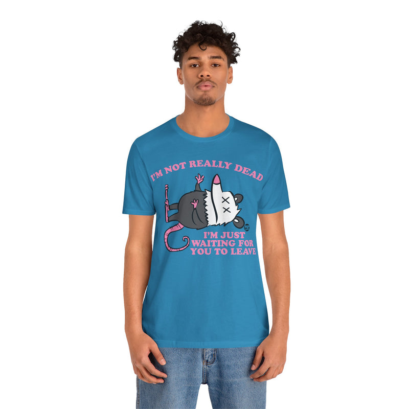Load image into Gallery viewer, Dead Possum Unisex Tee
