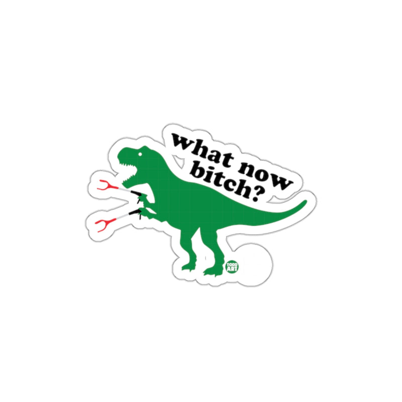 Load image into Gallery viewer, Funny Dinosaur What Now Bitch Sticker for Fun
