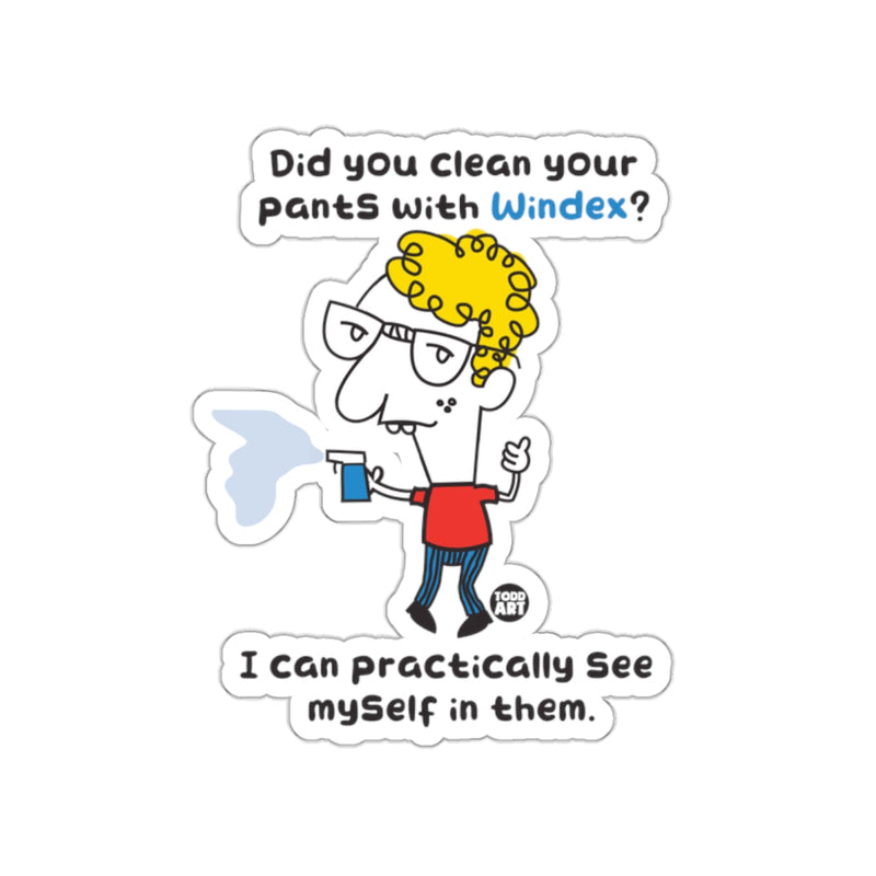 Load image into Gallery viewer, Did You Clean Your Pants With Windex Sticker
