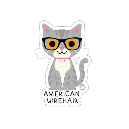 Cute American Wirehair Cat Illustration Sticker