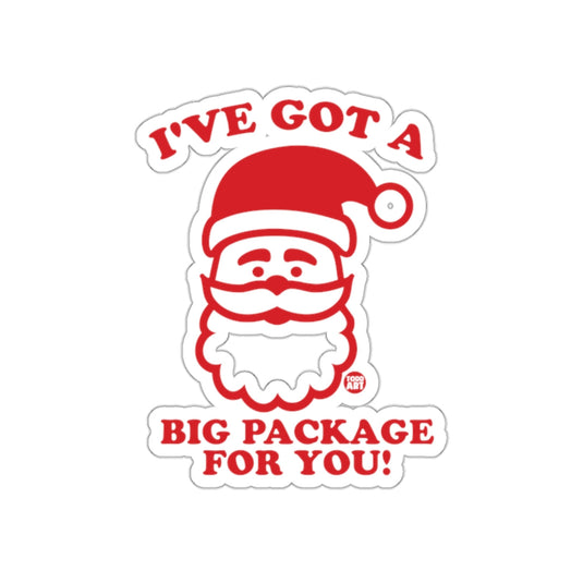 I've Got A Big Package For You Santa Sticker