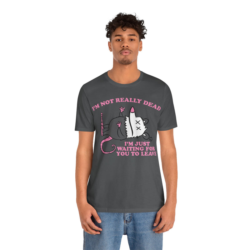 Load image into Gallery viewer, Dead Possum Unisex Tee
