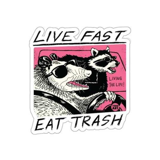 Live Fast Eat Trash Opossum Raccoon Driving Art sticker