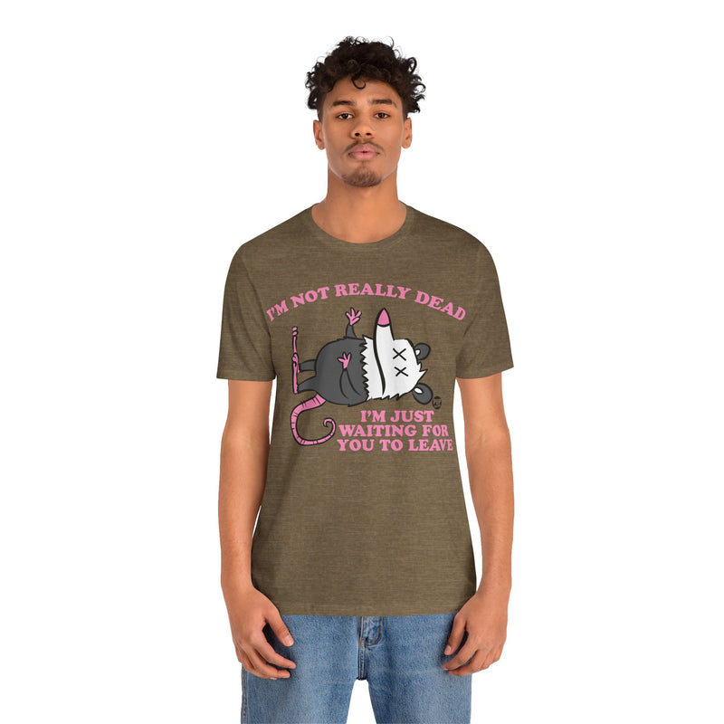 Load image into Gallery viewer, Dead Possum Unisex Tee
