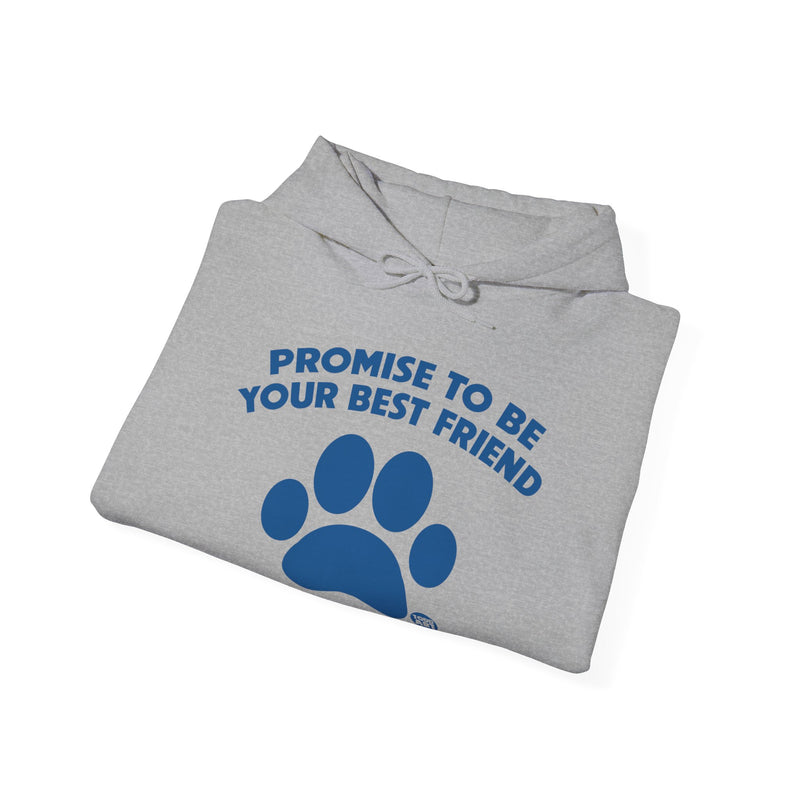 Load image into Gallery viewer, I Promise to Be Your Best Friend Pinky Paw Swear Dog Unisex Heavy Blend Hooded Sweatshirt
